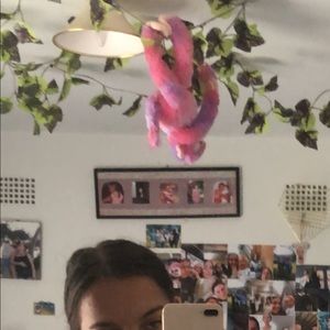 Meet your Posher, Ella